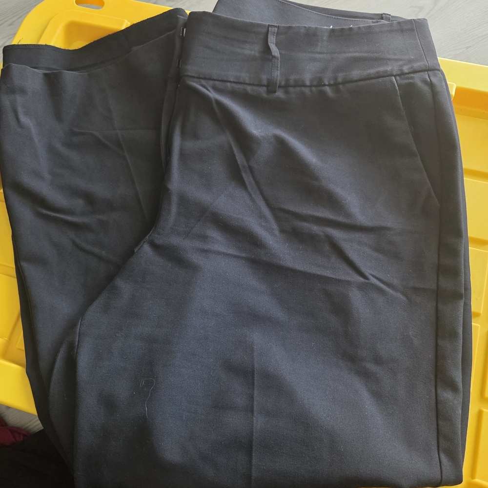 Lane Bryant Men's Dark Chinos